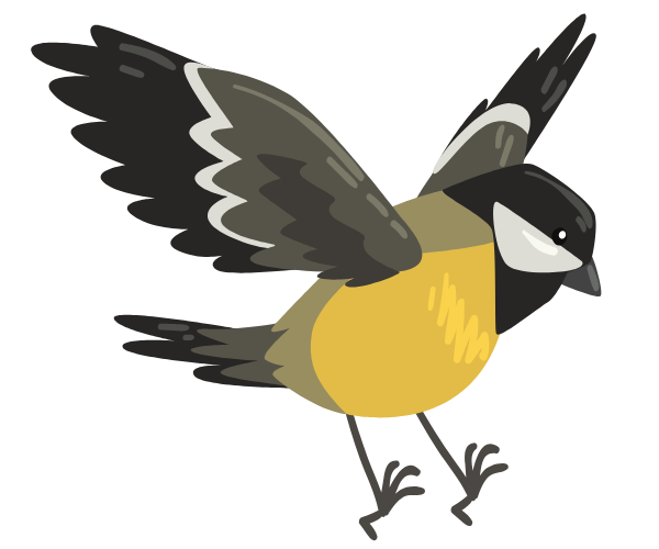 bird